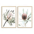 A set of 2 Australian Native Banksia Floral Flowers Wall Art Prints with a timber frame, white border by Beautiful Home Decor