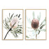 A set of 2 Australian Native Banksia Floral Flowers Wall Art Prints with a timber frame, no white border at Beautiful HomeDecor