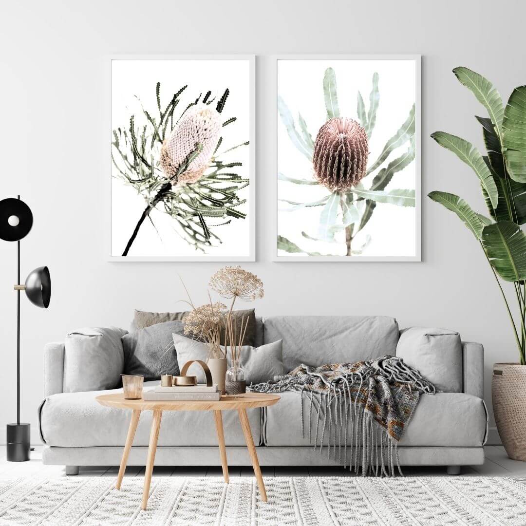 A set of 2 Australian Native Banksia Floral Flowers Wall Art Prints with a white frame or unframed to decorate an empty wall