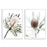 A set of 2 Australian Native Banksia Floral Flowers Wall Art Prints with a white frame, no white border at Beautiful HomeDecor