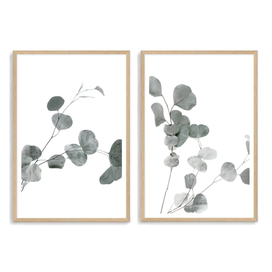 A set of 2 Australian Native Eucalyptus Leaves Wall Art Prints with a timber frame, white border by Beautiful Home Decor