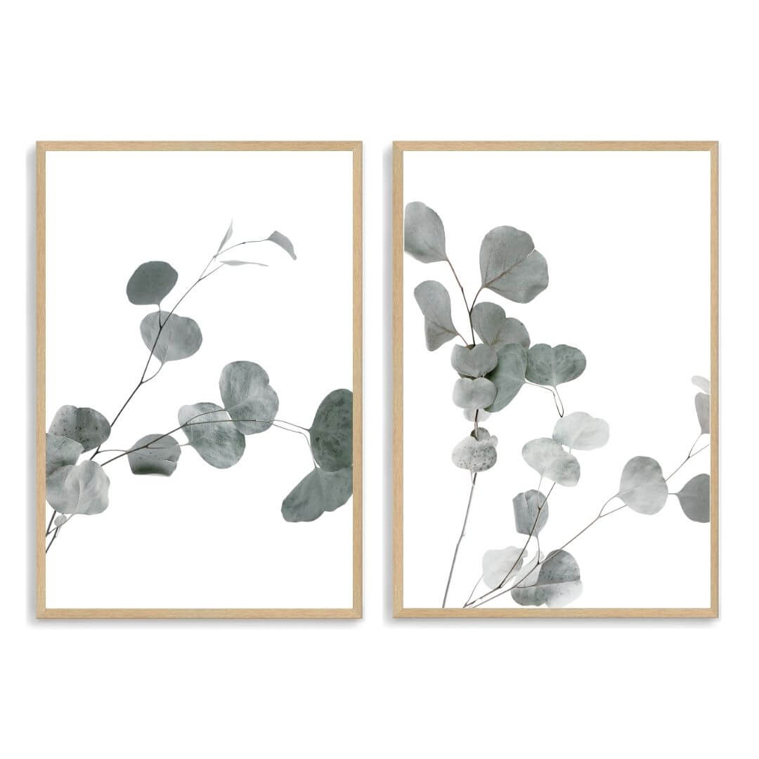 A set of 2 Australian Native Eucalyptus Leaves Wall Art Prints with a timber frame, no white border at Beautiful HomeDecor