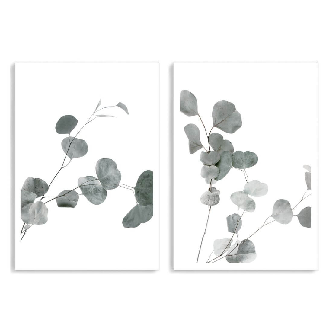 A set of 2 Australian Native Eucalyptus Leaves Wall Art Prints unframed with a white border by Beautiful HomeDecor