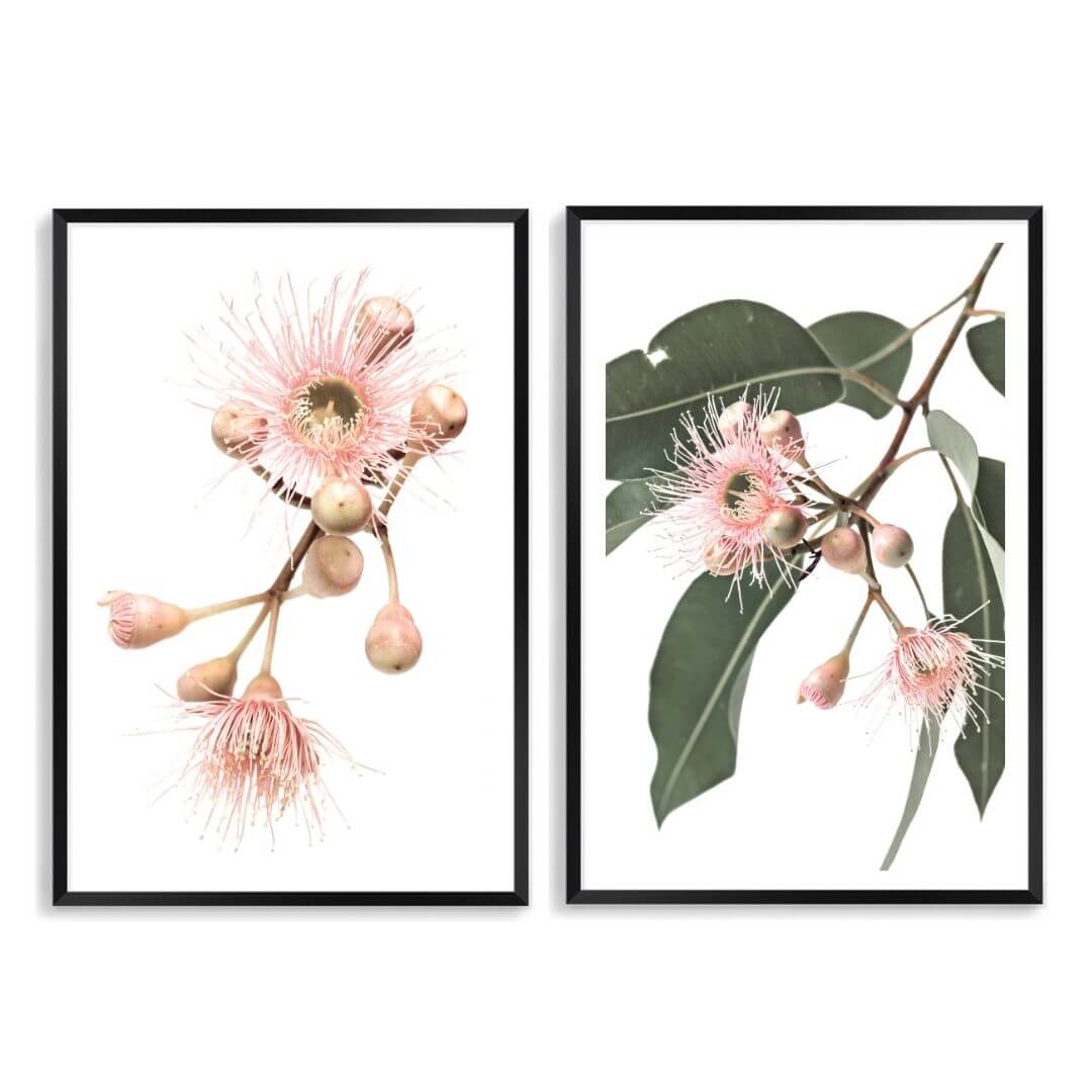 A set of 2 Native Gum Eucalyptus Flower Wall Art Prints with a black frame, white border by Beautiful Home Decor