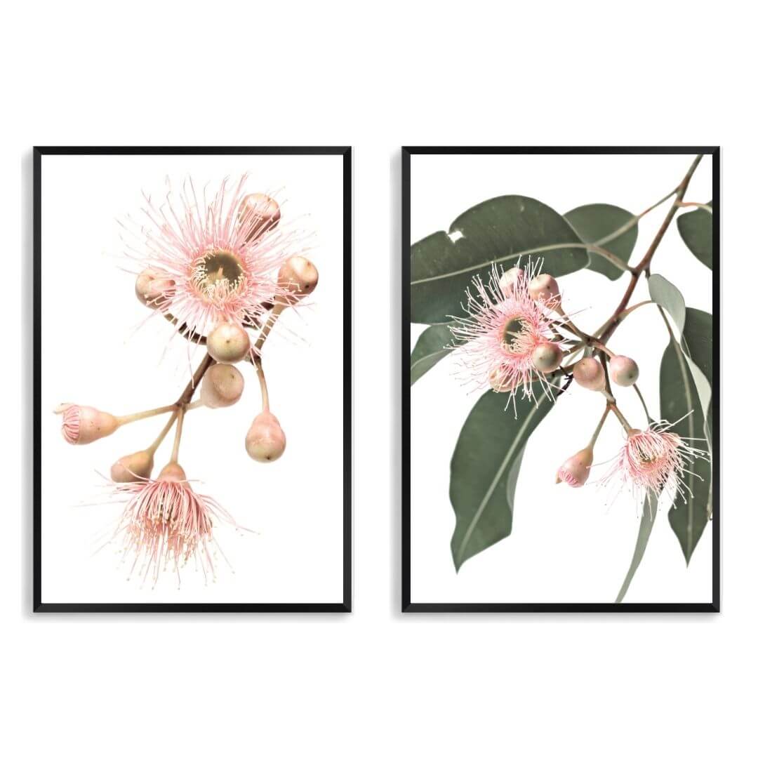 A set of 2 Native Gum Eucalyptus Flower Wall Art Prints with a black frame, no white border at Beautiful HomeDecor