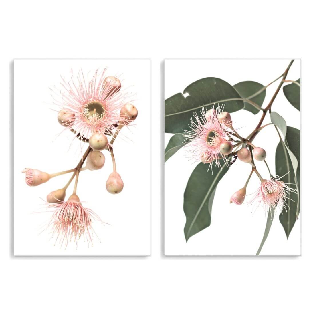 A set of 2 Native Gum Eucalyptus Flower Wall Art Prints unframed, printed edge to edge without a white border