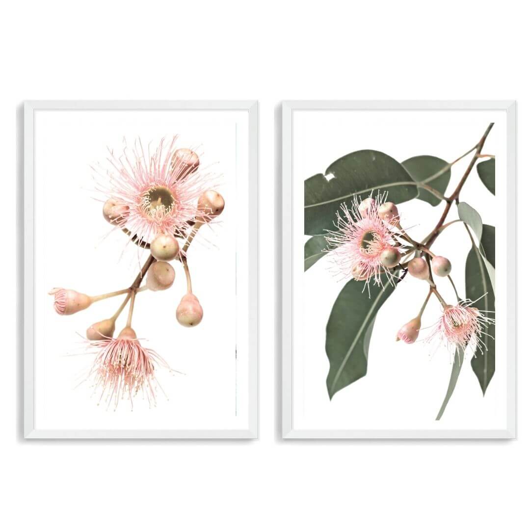 A set of 2 Native Gum Eucalyptus Flower Wall Art Prints with a white frame, white border by Beautiful Home Decor
