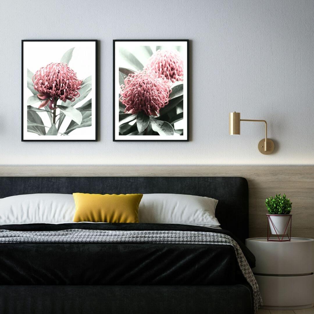 A set of 2 Australian Native Waratah Flowers Wall Art Photo Prints with a black frame, white border on bedroom wall, waratah art prints