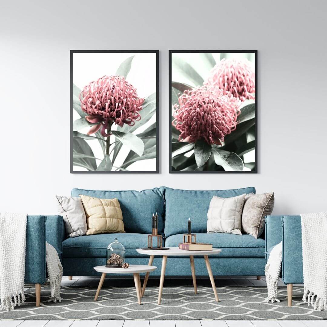 A set of 2 Australian Native Waratah Flowers Wall Art Photo Prints with a black frame or unframed for your empty living room walls