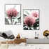 A set of 2 Australian Native Waratah Flowers Wall Art Photo Prints with a frame in black to style a wall in your living room