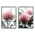 A set of 2 Australian Native Waratah Flowers Wall Art Photo Prints with a black frame, no white border at Beautiful Home Decor