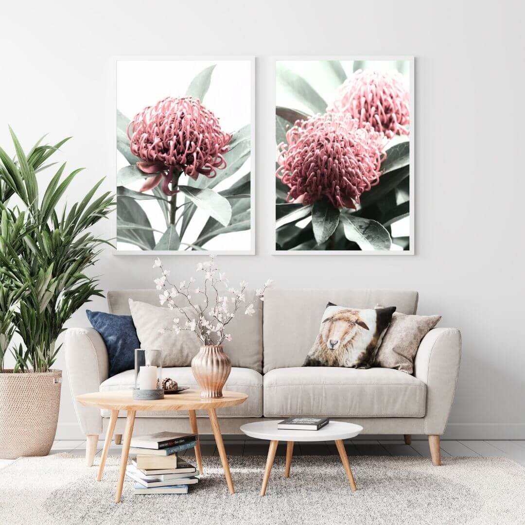 A set of 2 Australian Native Waratah Flowers Wall Art Photo Prints with a frame in white to style a wall in your living room