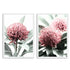 A set of 2 Australian Native Waratah Flowers Wall Art Photo Prints with a white frame, no white border at Beautiful Home Decor