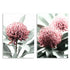 A set of 2 Australian Native Waratah Flowers Wall Art Photo Prints unframed, printed edge to edge without a white border