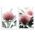 A set of 2 Australian Native Waratah Flowers Wall Art Photo Prints unframed with a white border by Beautiful Home Decor