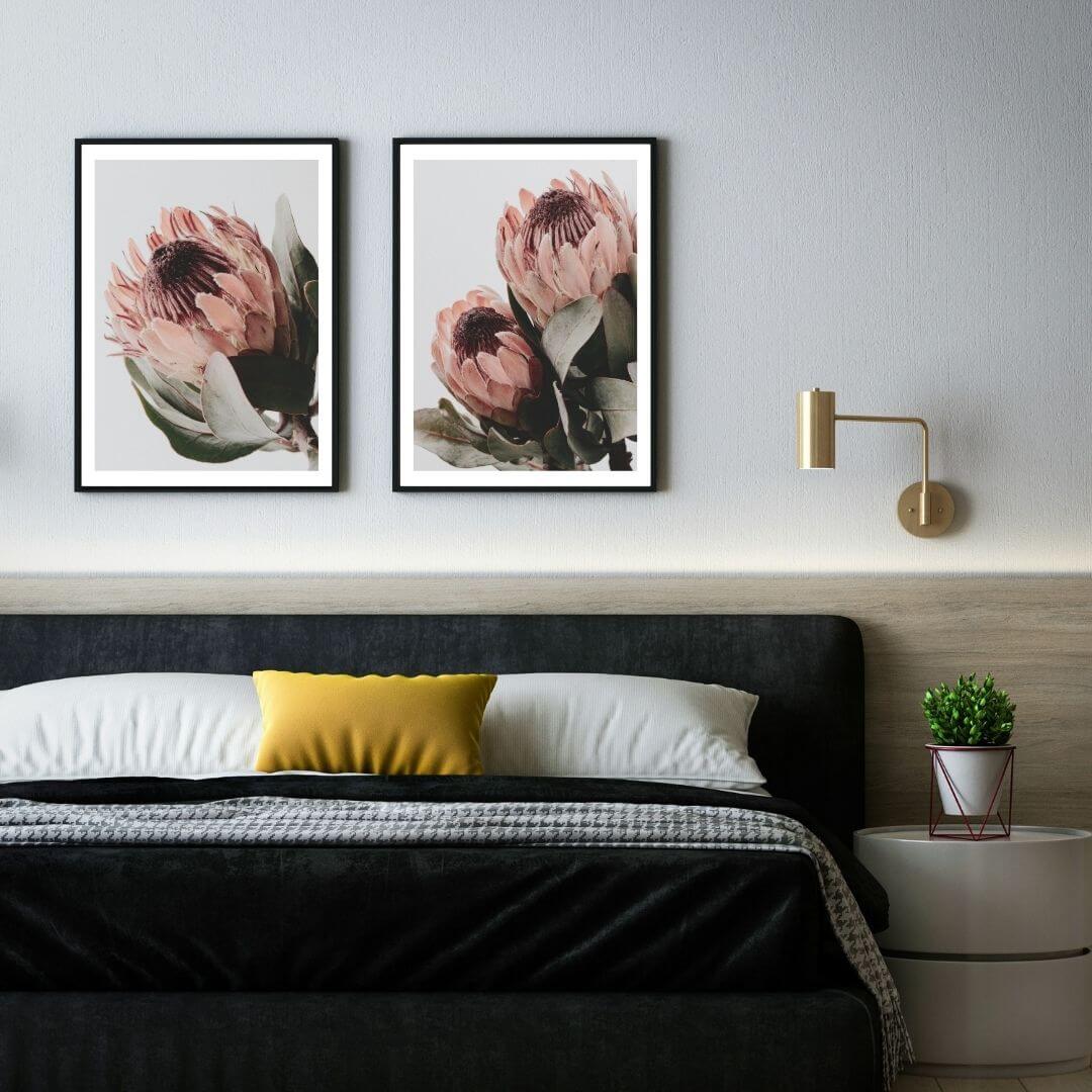 A set of 2 Peach Protea Flowers Floral Wall Art Prints with a black frame, no border on bedoom wall