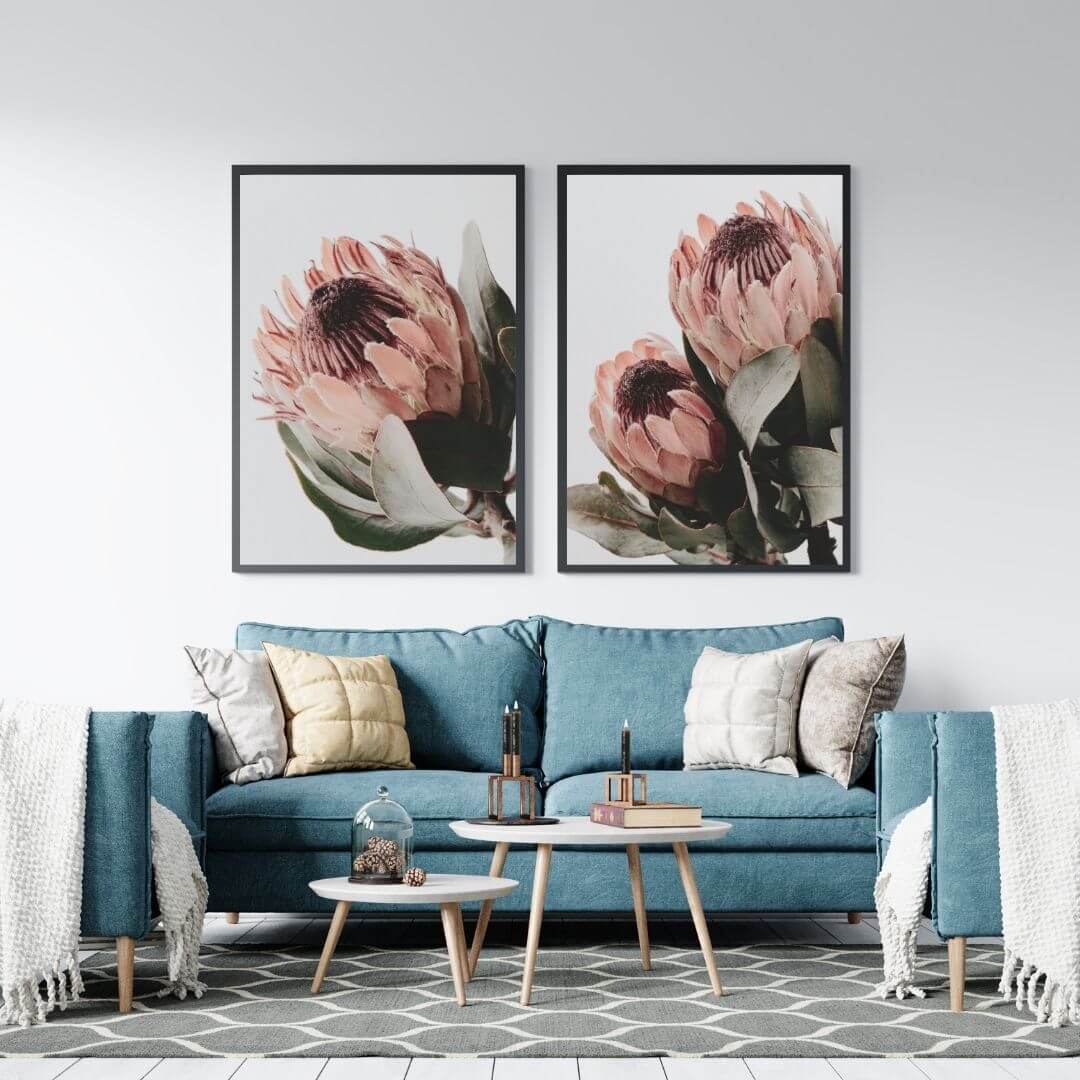 A set of 2 Peach Protea Flowers Floral Wall Art Prints with a black frame or unframed for your empty living room walls