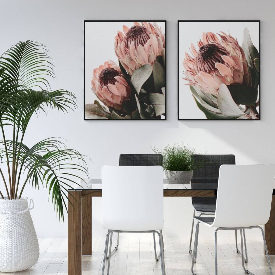 A set of 2 Peach Protea Flowers Floral Wall Art Prints with a black frame or unframed for your office study wall