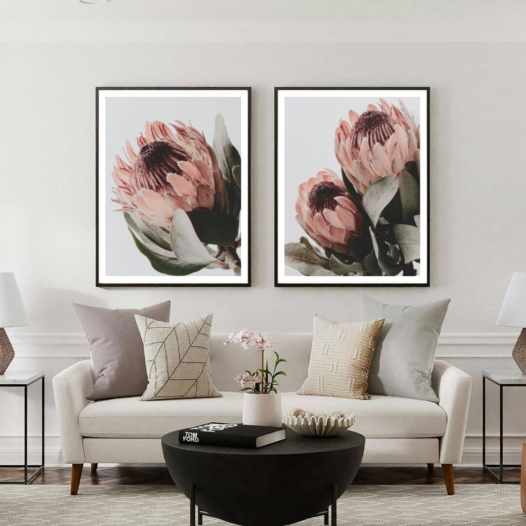 A set of 2 Peach Protea Flowers Floral Wall Art Prints with a frame in black to style a wall in your living room