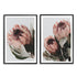 A set of 2 Peach Protea Flowers Floral Wall Art Prints with a black frame, white border by Beautiful Home Decor