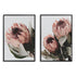 A set of 2 Peach Protea Flowers Floral Wall Art Prints with a black frame, no white border at Beautiful HomeDecor