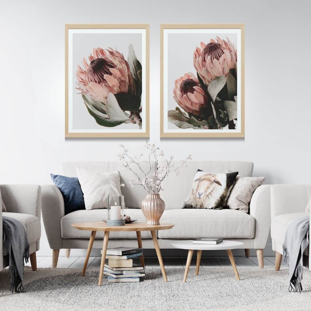 A set of 2 Peach Protea Flowers Floral Wall Art Prints with a timber frame or unframed to decorate walls in living room