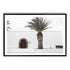A White Spanish Church Wall Art Print with a Palm Tree  with a black frame, white border by Beautiful Home Decor