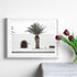A White Spanish Church Wall Art Print with a Palm Tree  with a white frame or unframed to style shelves and empty walls