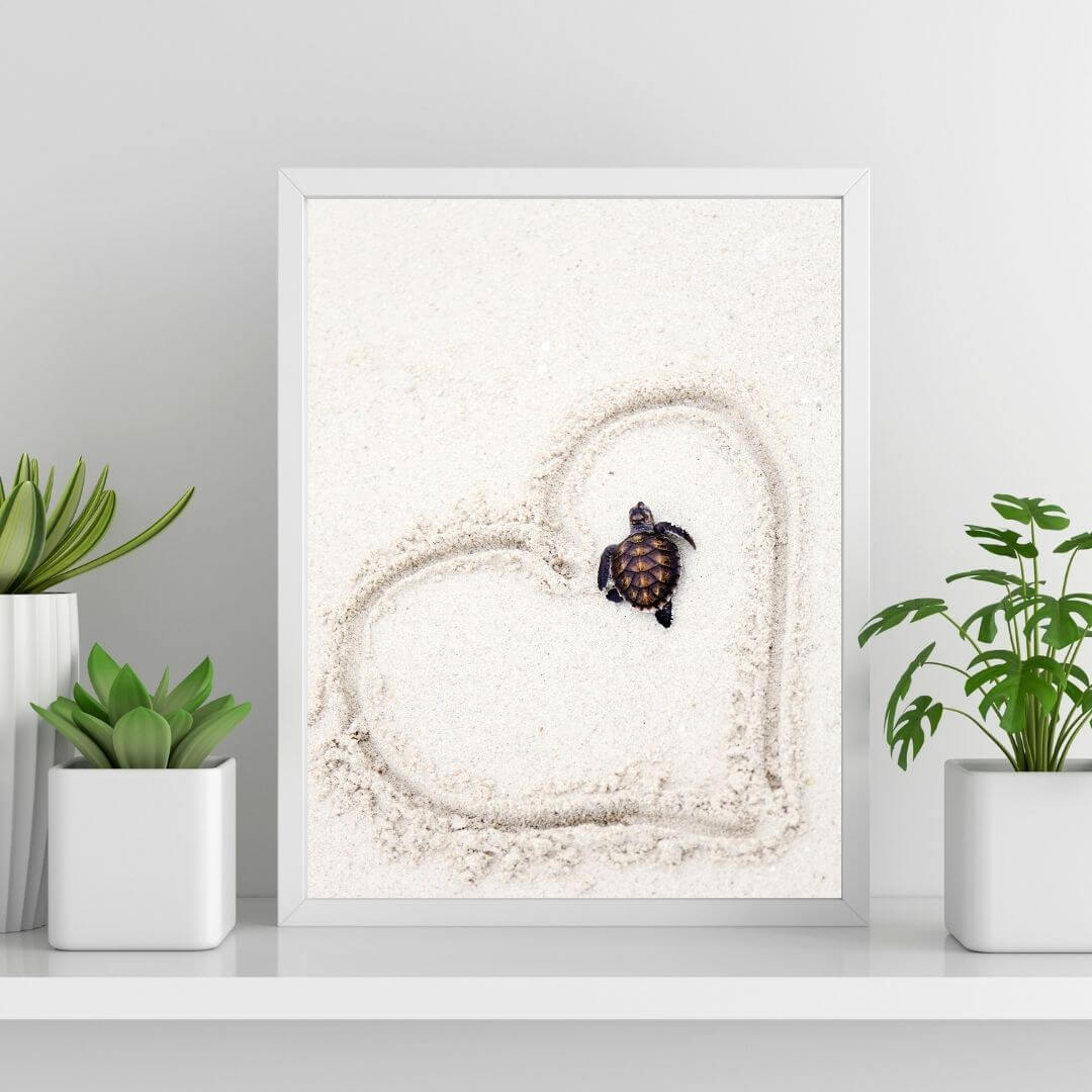 A wall art photo print of a turtle on the beach with a white frame or unframed to style shelves and empty walls