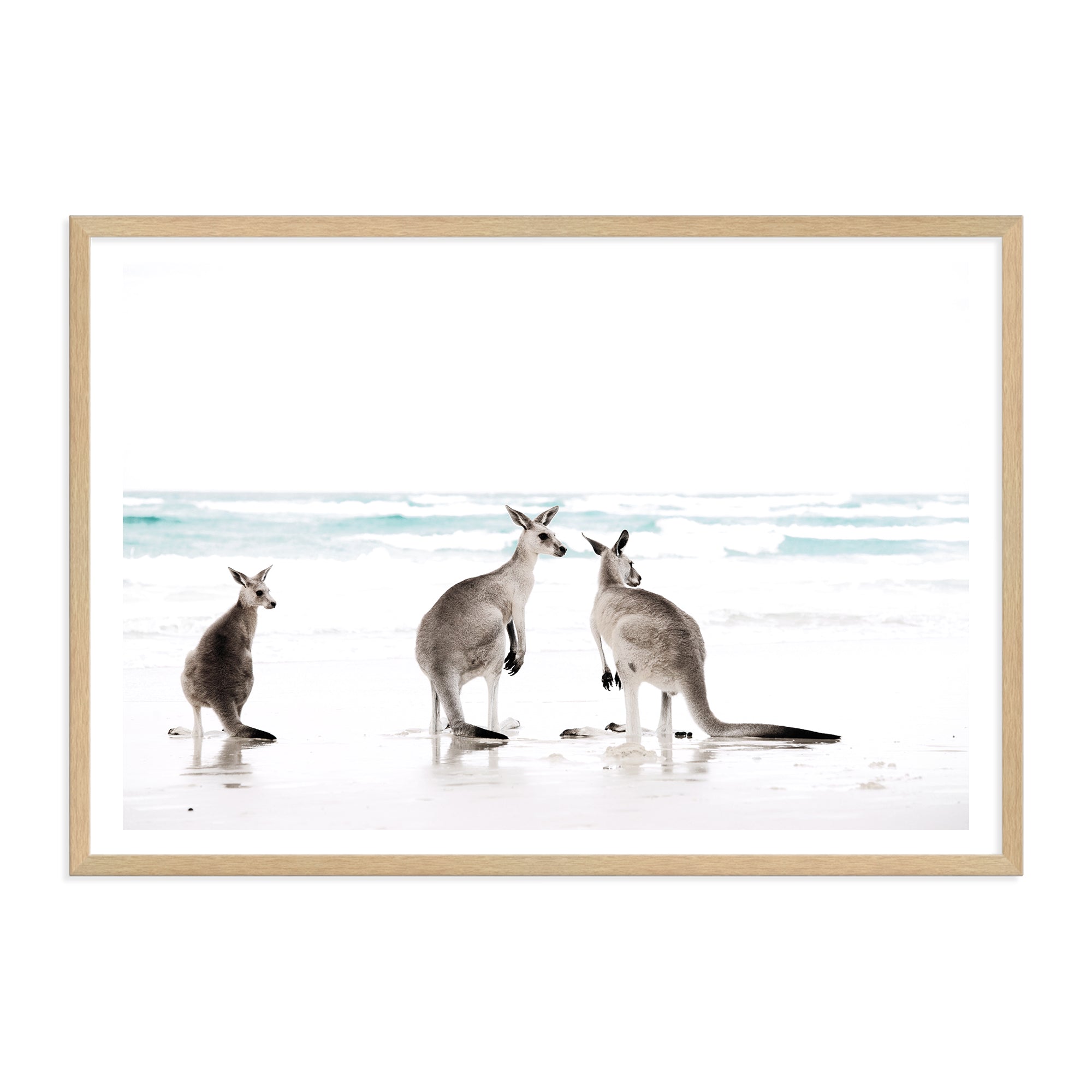 Buy Beach Kangaroo Photo Art Print